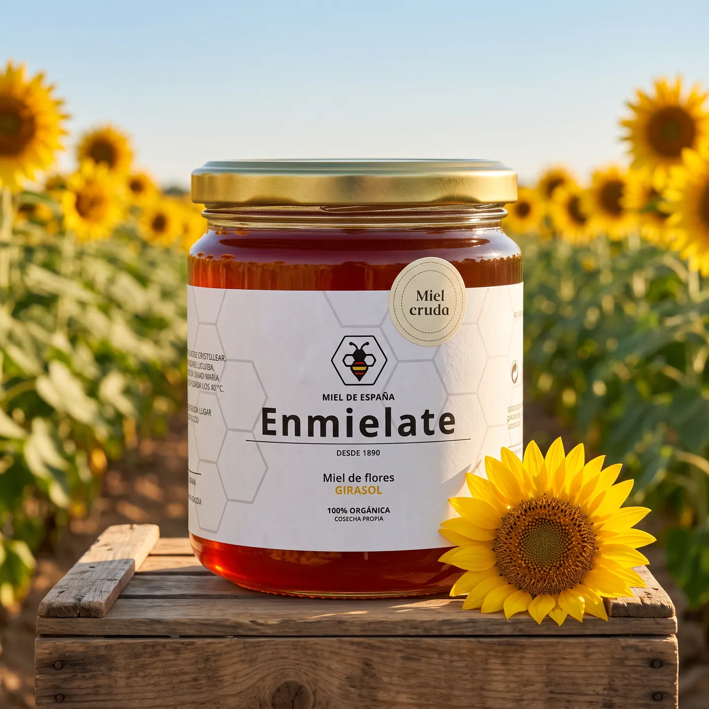 Foto de Miel cruda de Girasol