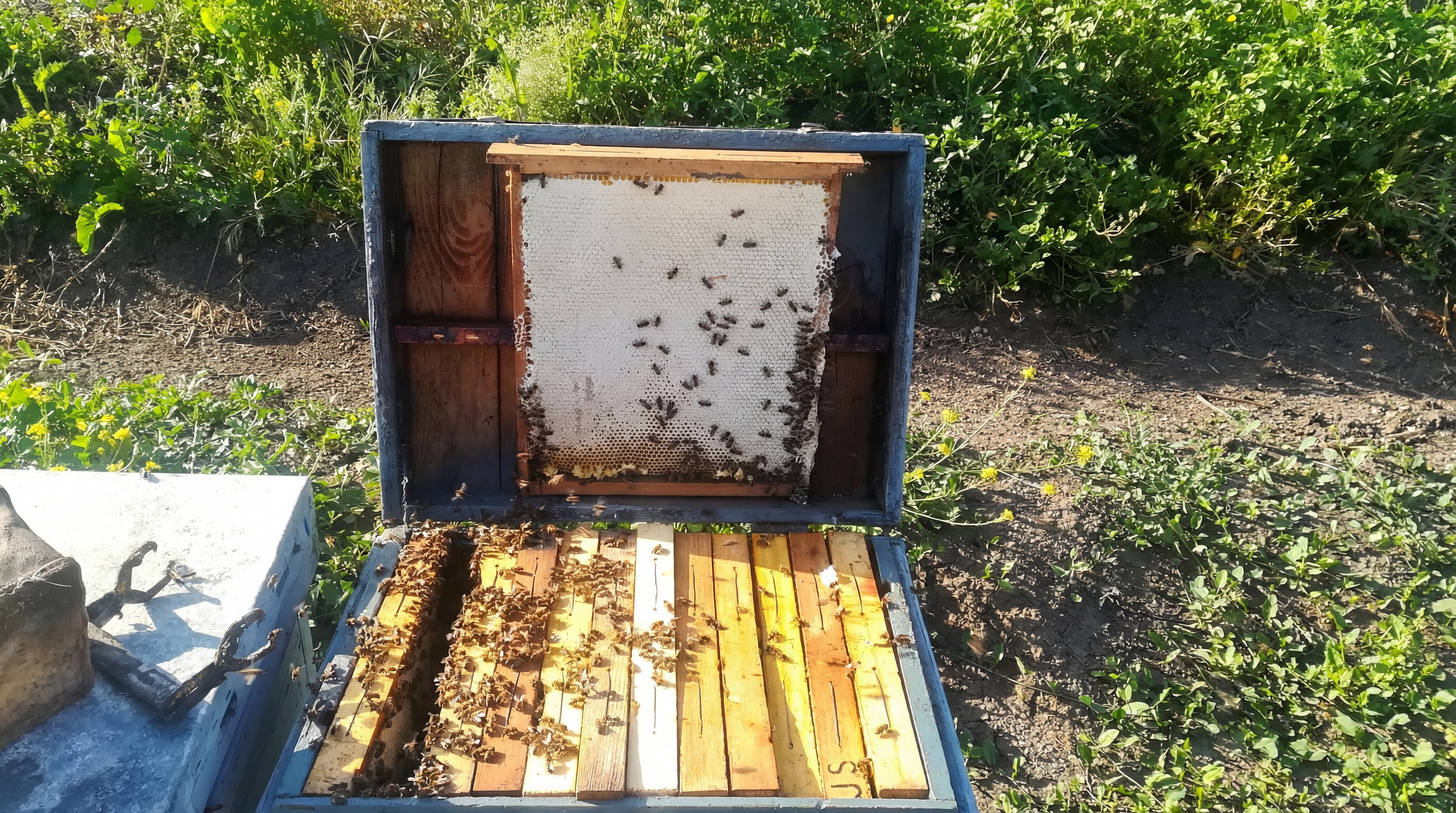 Imagen de categoría 1