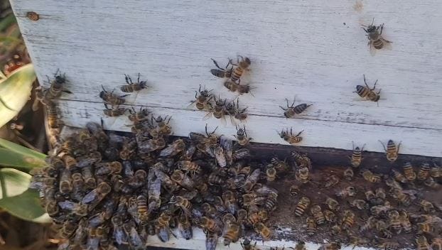 El destierro de lo no productivo